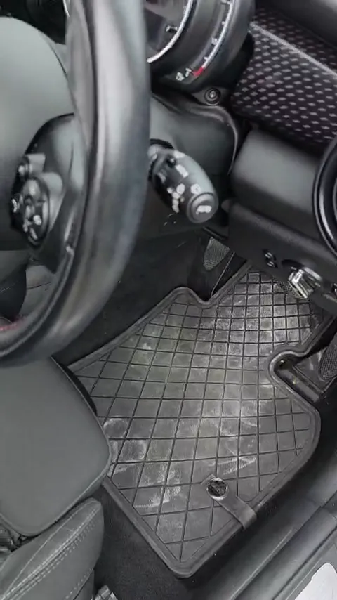 Interior and floor mats after a deep clean
